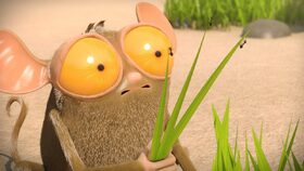 43/52 V oku tornáda