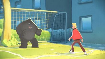 Fotbal