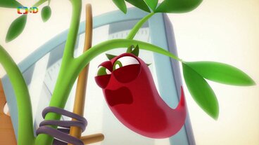 Chilli paprička