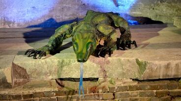 Varan