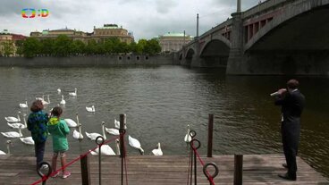 Hudební příběhy a dobrodružství
