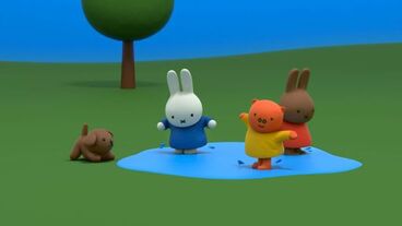 Miffy a louže