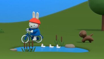 Miffy a nové kolo