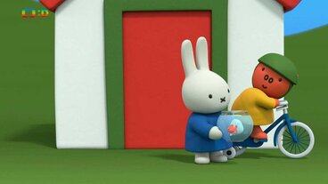 Miffy a zlatá rybka