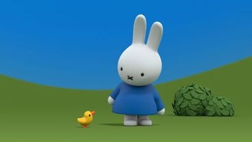 Miffy a káčátko