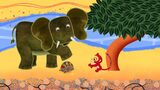 Proč má slon chobot