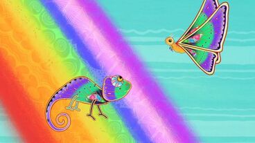 Proč chameleon mění barvu
