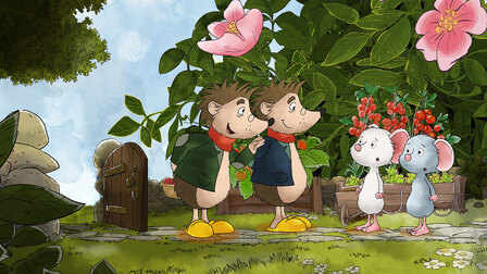 24/26 Záhada okolo Ruperta