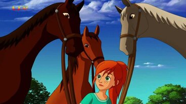 8/26 Shánění koní