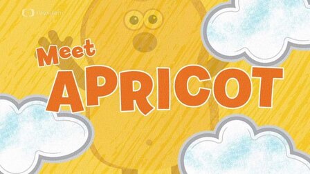 Meet Apricot
