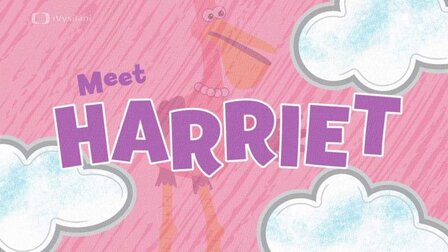 Meet Harriet