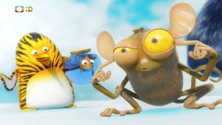 Taje tajícího ledu