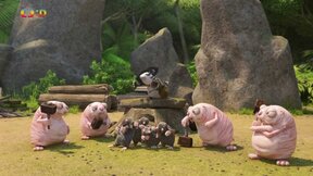 Cena pralesního génia