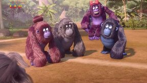 41/52 Pozor, gorila!