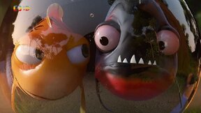 43/52 Akvárium pro dva