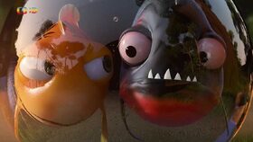 43/52 Akvárium pro dva