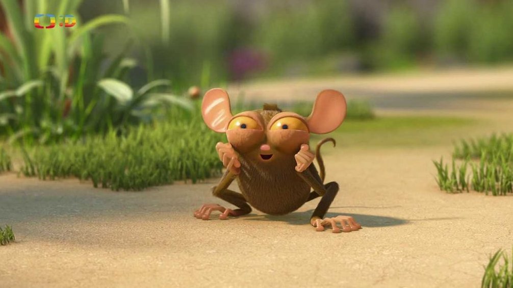 49/52 Vzácná sbírka