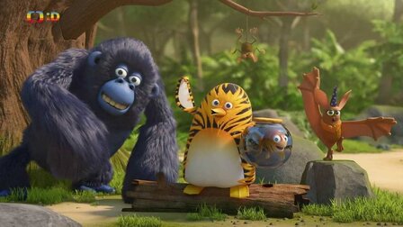 50/52 Symfonico Maximo