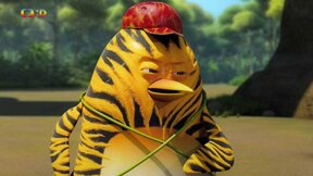 23/52 Prales před tabulí