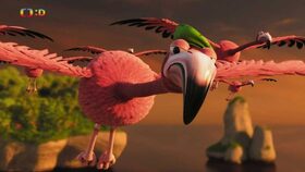 28/52 Let plameňáků