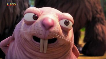 42/52 Pralesní tunel