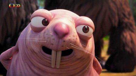 42/52 Pralesní tunel