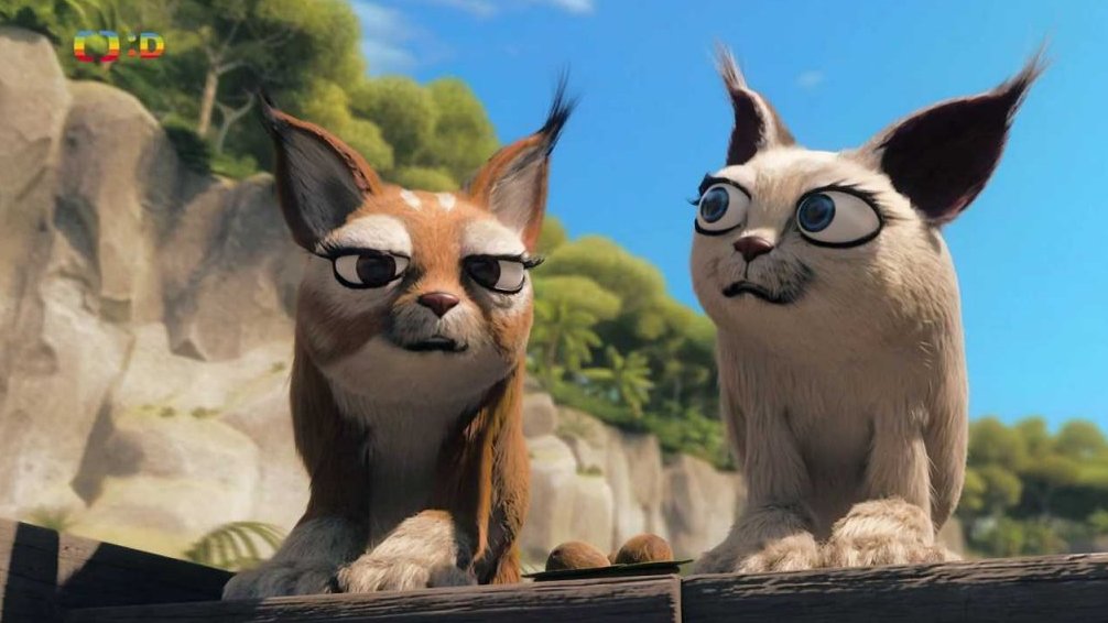 45/52 Bouchej, Migueli, bouchej!