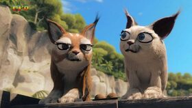 45/52 Bouchej, Migueli, bouchej!