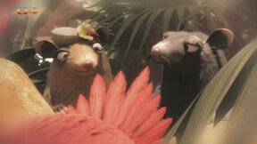 51/52 Pralesní veterání