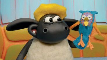 Timmy a baret