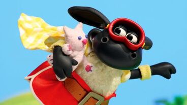 Hrdina Timmy
