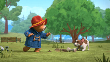 Paddington a kost