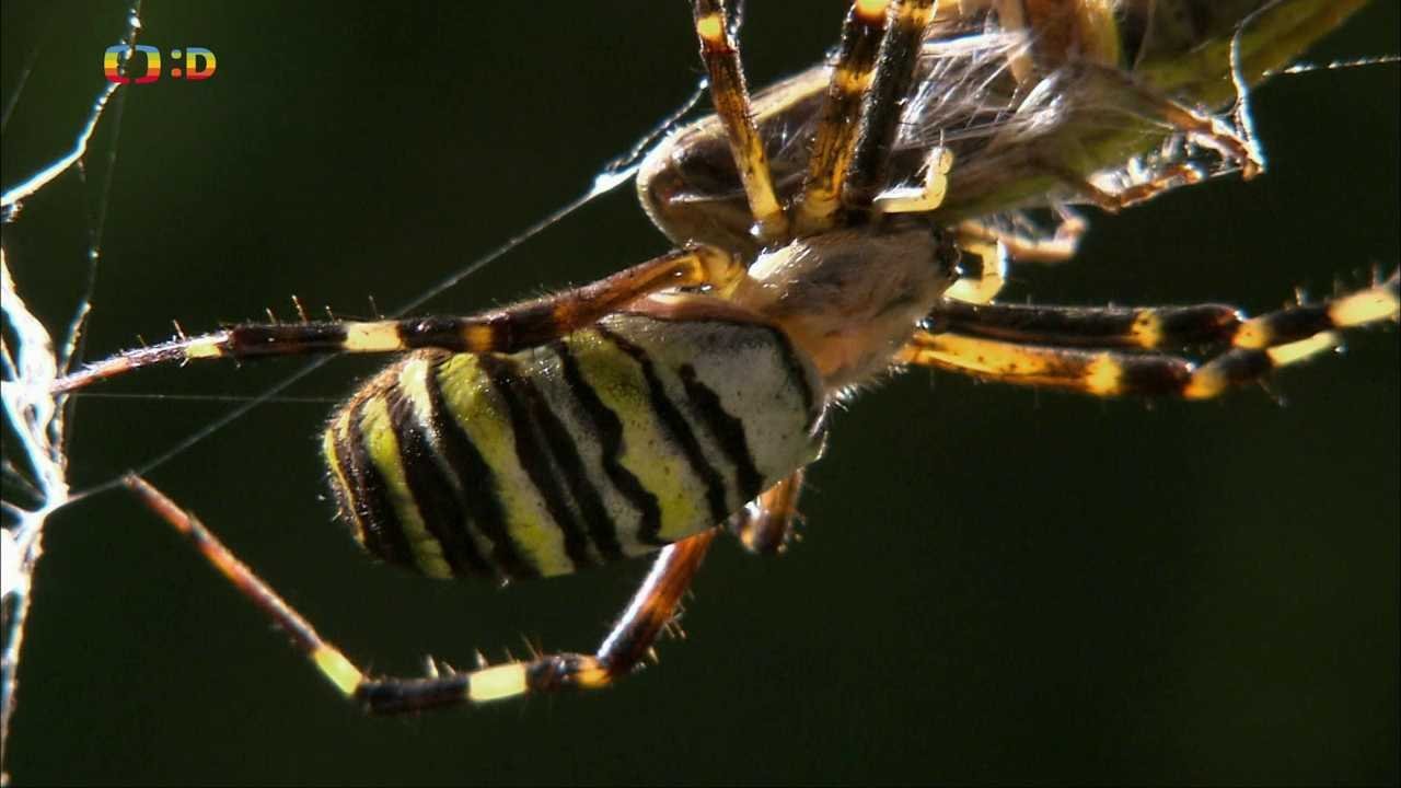 Epizoda 10/25