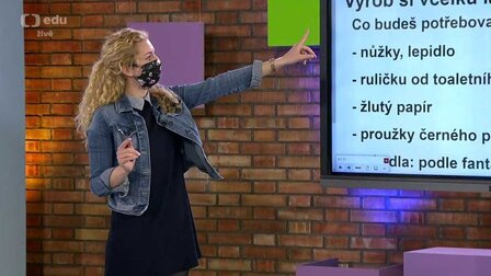 Český jazyk