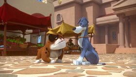 21/52 Aféra s náhrdelníkem