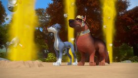 38/52 Lutécie Levandulová