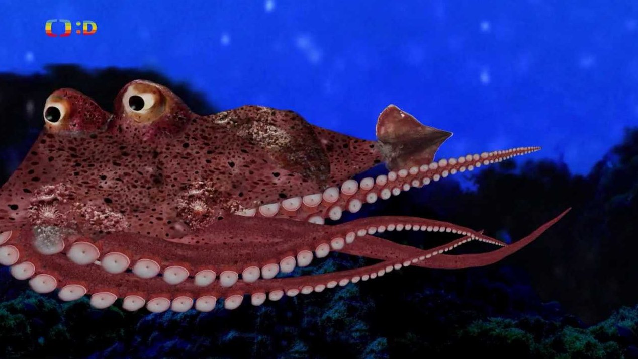 Extrémní prostředí 1.