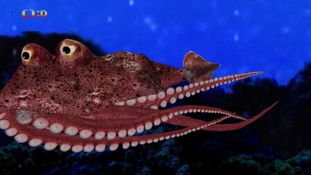 Extrémní prostředí 1.