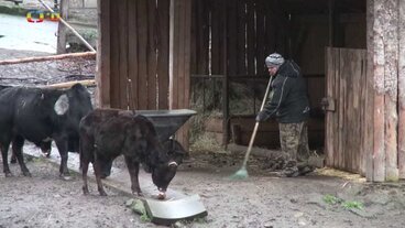 19. 1. 2021