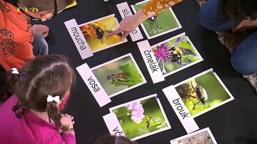 Člověk a jeho svět