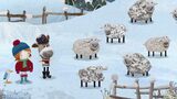 Ovce ve sněhu