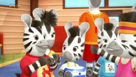 Zou a gymnastická soutěž