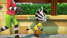 Zou osobním trenérem