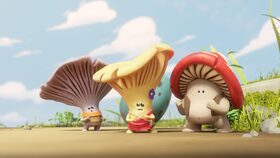 Dobrodružství s vajíčkem