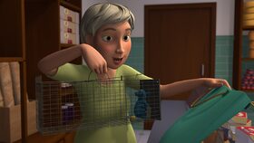 31/45 Tančící myš