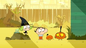 3/52 Výkvět rodu dýní