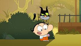 26/52 Studnice přání