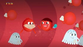 16/26 Zlomené kosti