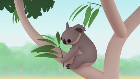 Koala