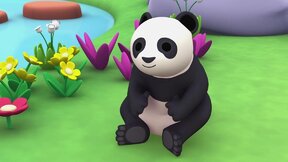 Panda velká